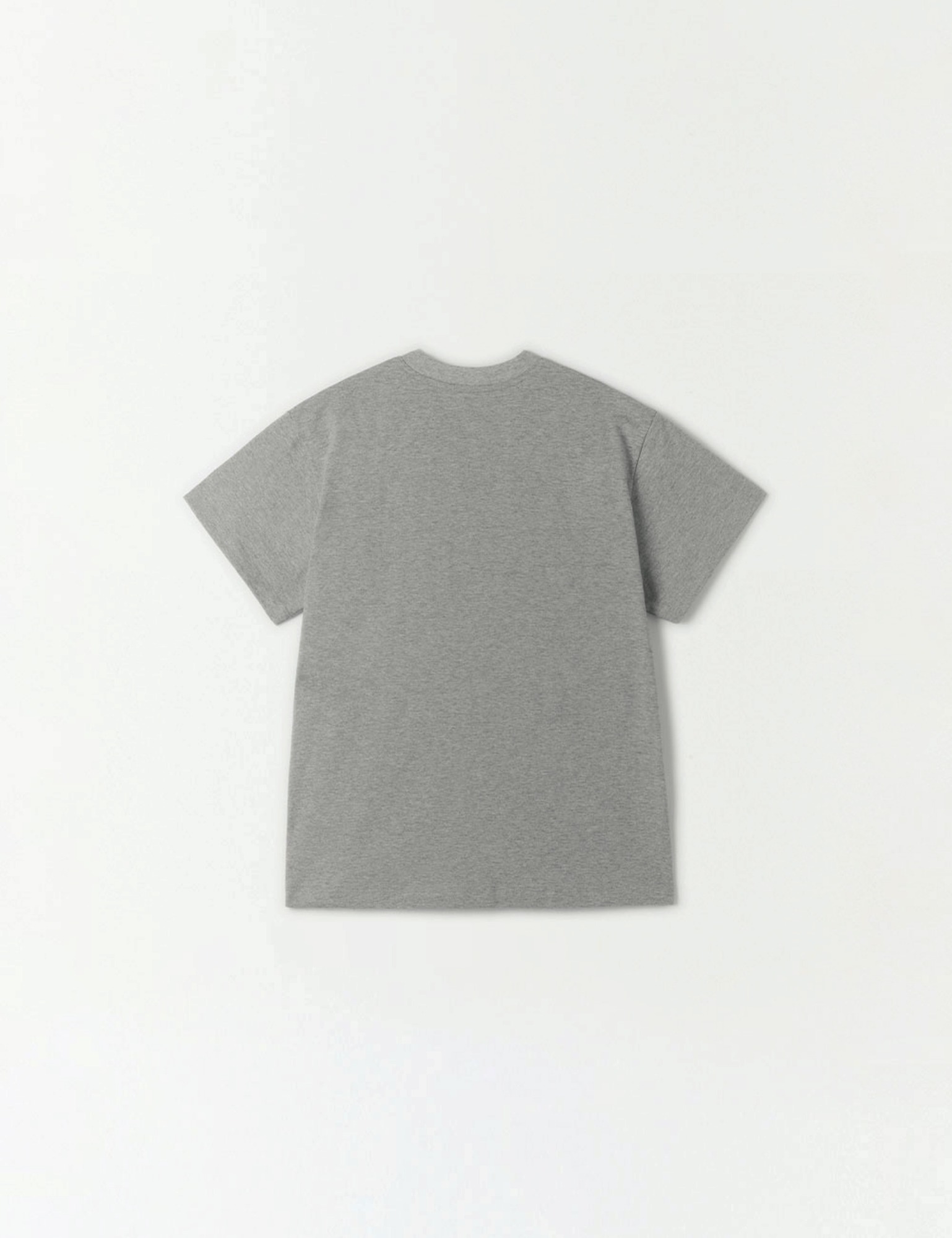 Classic T-Shirt (Gray)